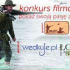 Fotka nr 5 z 6