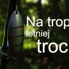 zdjęcie nr 1