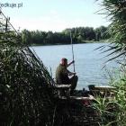 zdjęcie nr 12