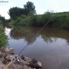DRAGON Thytan Feeder 120 i DRAGON Thytan Quiver 2,9 m cw 20-40 g