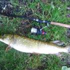 Mikado Desire Mini tele spin, 2,4 m cw 15-45g i szczupaczek 70cm/3,0 kg.