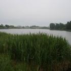 zdjęcie nr 76