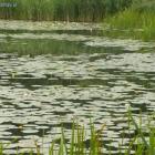Aż pachnie w powietrzu linami