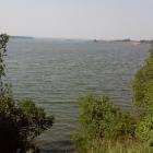 zdjęcie nr 4
