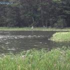 zdjęcie nr 10