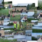 Fotka nr 1 z 2