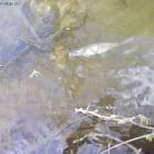 zdjęcie nr 10
