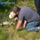zdjęcie nr 8