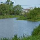 zdjęcie nr 15
