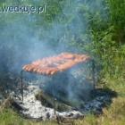 zdjęcie nr 33