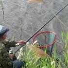 zdjęcie nr 17