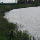 zdjęcie nr 31