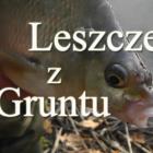 Fotka nr 0 z 5