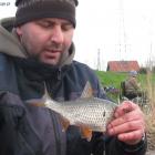 zdjęcie nr 19