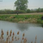 Walczą 