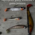 Fotka nr 1 z 5