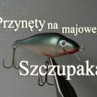 Fotka nr 4 z 5