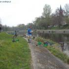 Fotka nr 3 z 12