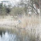 zdjęcie nr 35