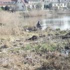 zdjęcie nr 34