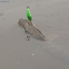 Skuteczny Ferox