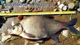 Fotka nr 0 z 3