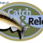 C&R, a okres ochronny