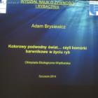 zdjęcie nr 8