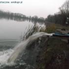 Fotka nr 1 z 4