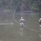 zdjęcie nr 36