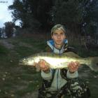 Fotka nr 5 z 7
