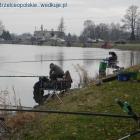 Fotka nr 3 z 46