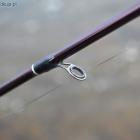Fotka nr 3 z 10