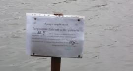 zdjęcie nr 1