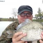 Srebrzysty 1,20kg i 37cm