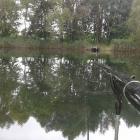 Fotka nr 2 z 9