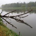 zdjęcie nr 18