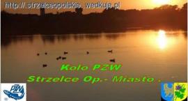 Fotka nr 0 z 2