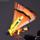 zdjęcie nr 26