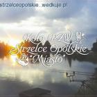 zdjęcie nr 2