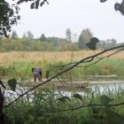 Fotka nr 1 z 4