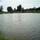 Fotka nr 4 z 11