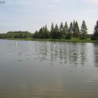 zdjęcie nr 8