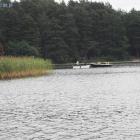 zdjęcie nr 11
