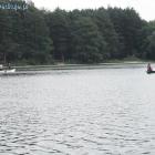 Fotka nr 2 z 53