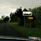 zdjęcie nr 44