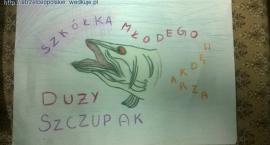 zdjęcie nr 1