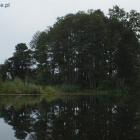 Fotka nr 5 z 6