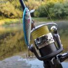 Jaxon Splendid RD 300