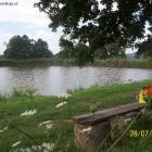 zdjęcie nr 7